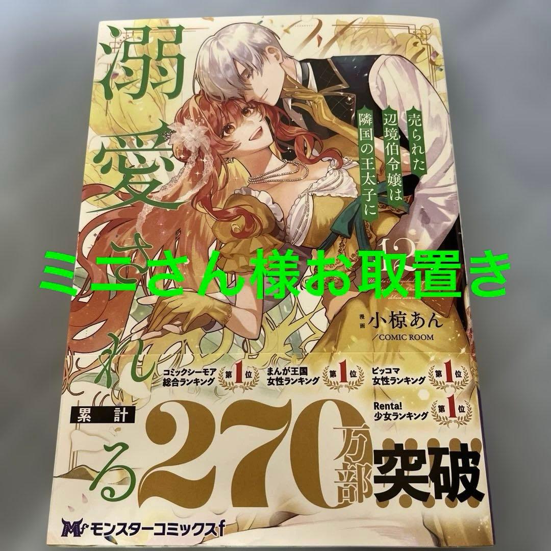 売られた辺境伯令嬢は隣国の王太子に溺愛される12