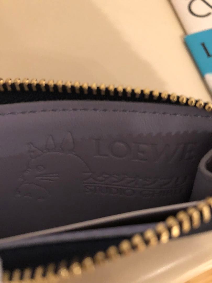 ロエベ　ハウル　ケース