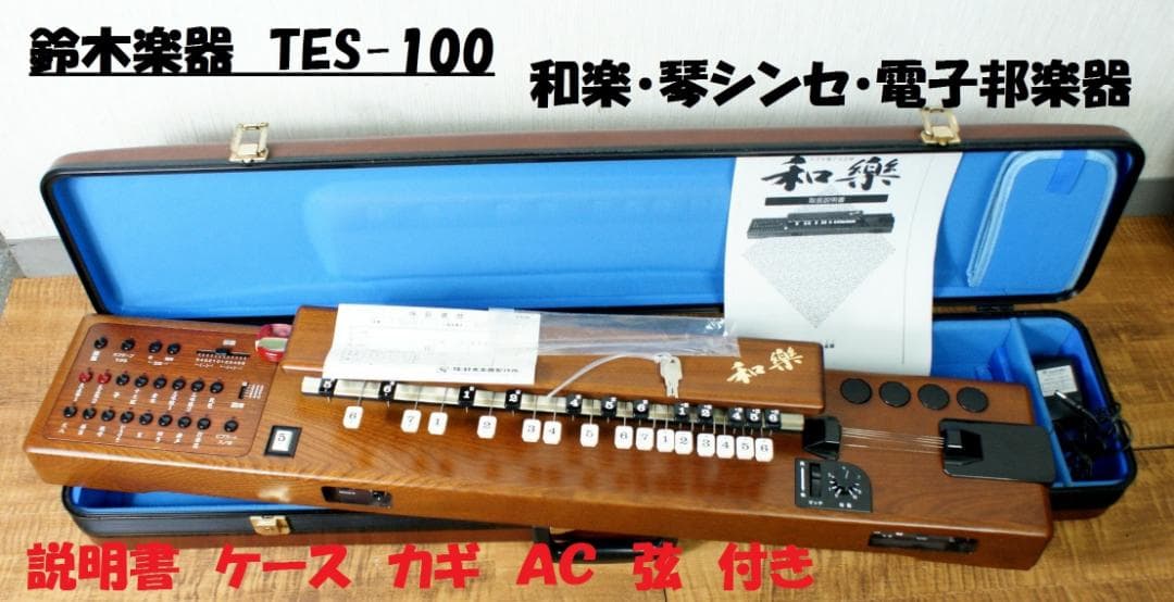 SUZUKI　和楽　TES-100　大型　電子大正琴　スズキ 琴シンセ