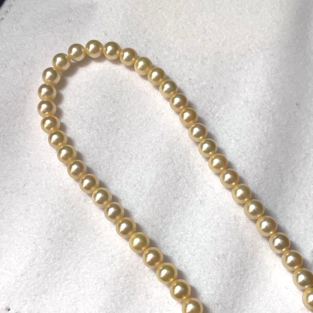 【希少色 テリ強】あこや真珠 ゴールデン パールネックレス 5.6-6.4mm