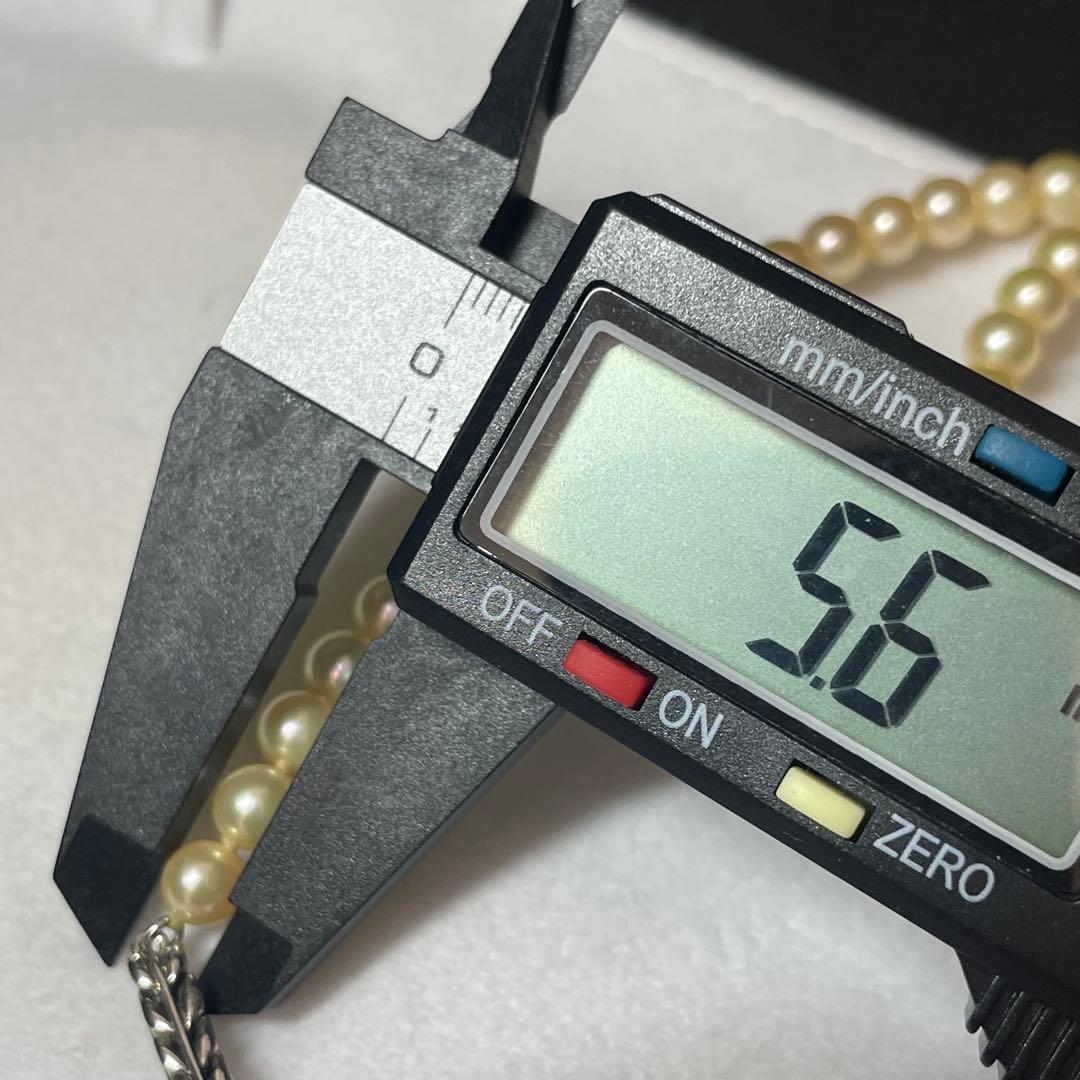 【希少色 テリ強】あこや真珠 ゴールデン パールネックレス 5.6-6.4mm