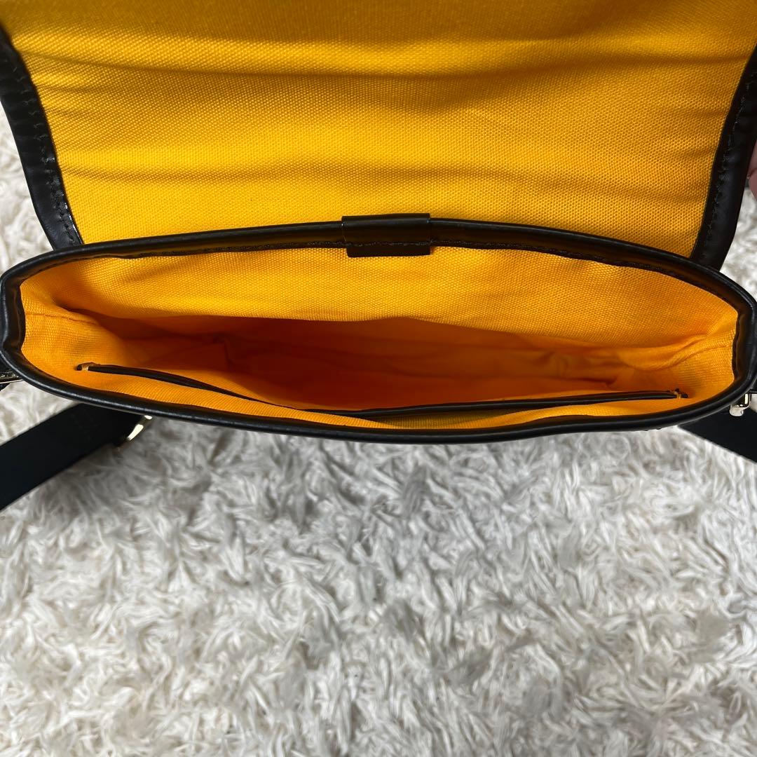 未使用級 Resurrection パロット PVC ショルダーバッグ