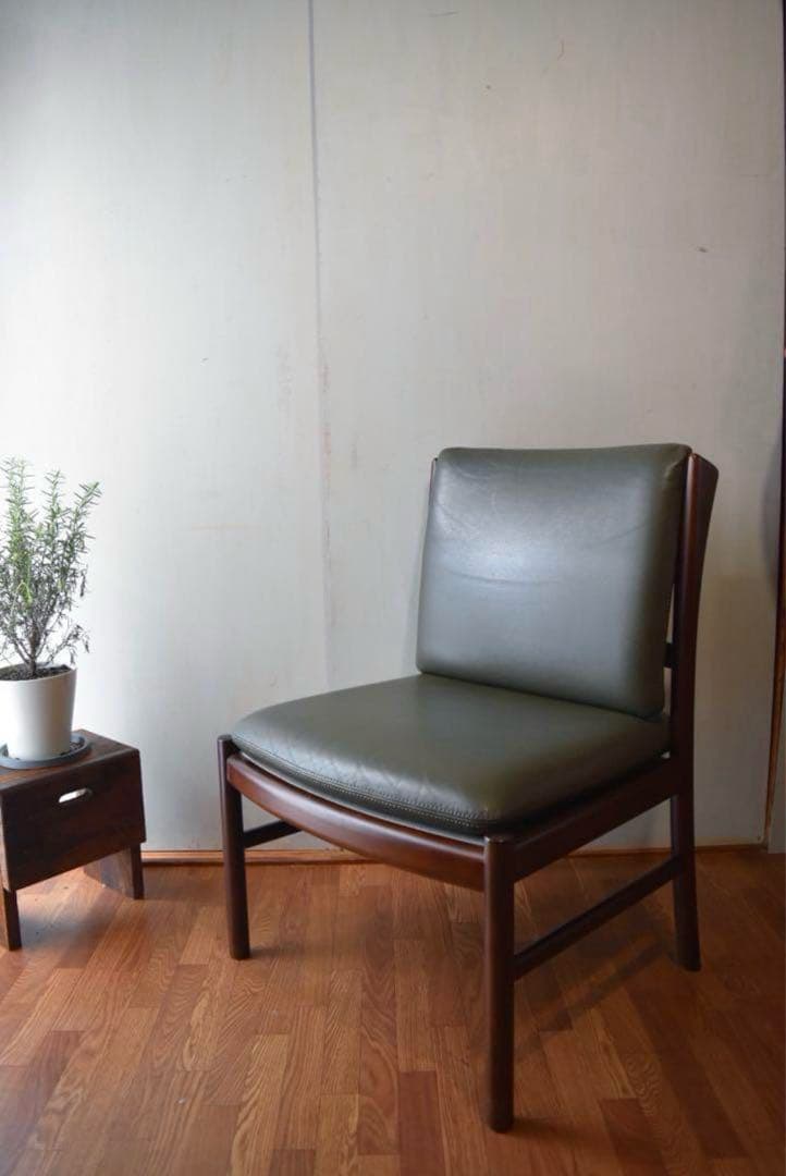 ブーゲンビリア②