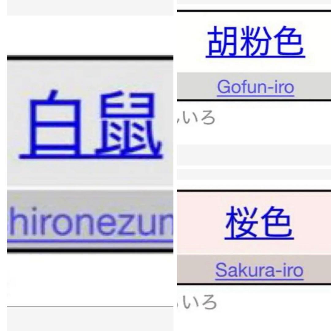 く*ん様 美品　正絹 絽 友禅　訪問着 フルセット ４点 夏帯＋夏帯締め＋夏帯揚