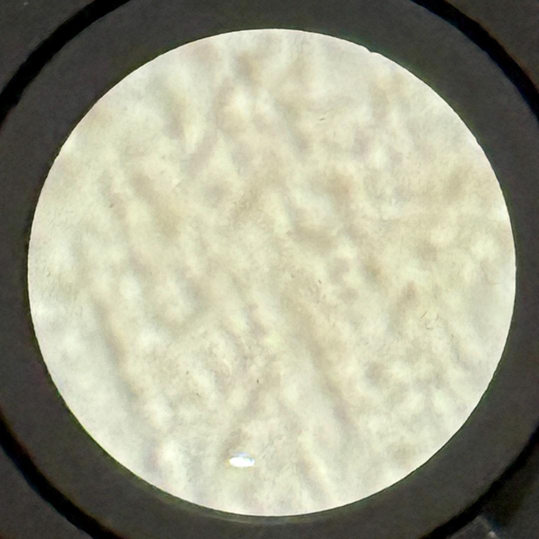 Nikon AF NIKKOR 50mm f/1.8 レンズ 単焦点レンズ