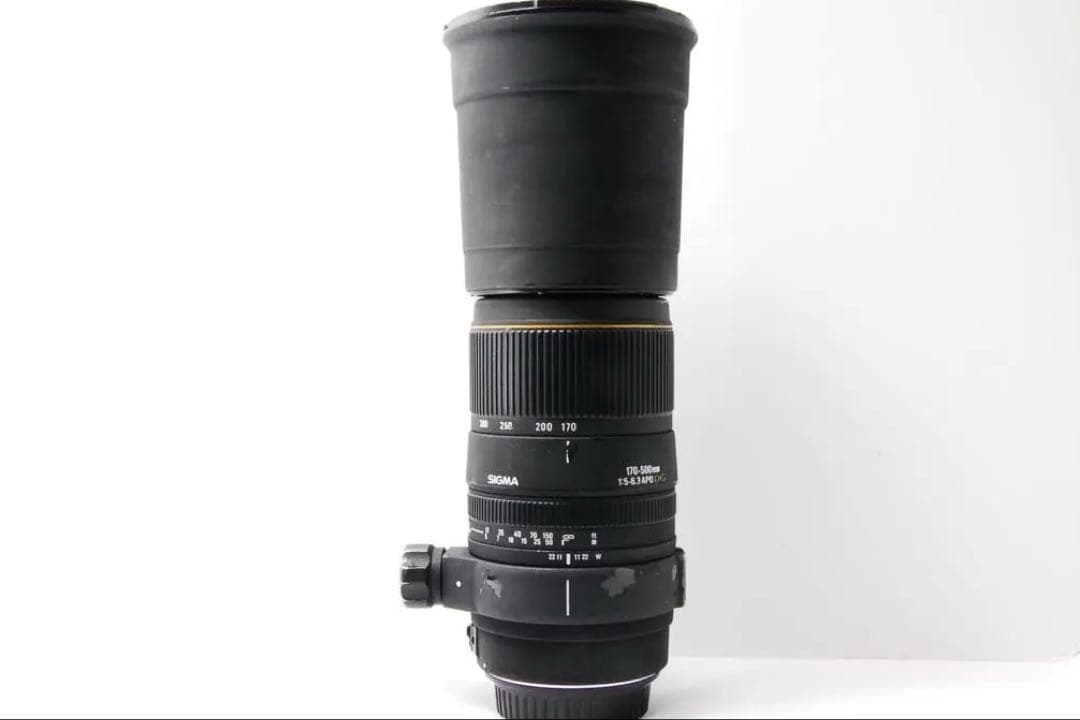 超望遠の世界へ！SIGMA APO 170-500mm F5-6.3 一眼レフ