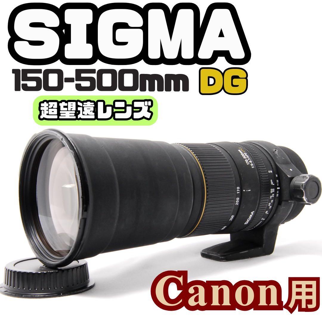 超望遠の世界へ！SIGMA APO 170-500mm F5-6.3 一眼レフ