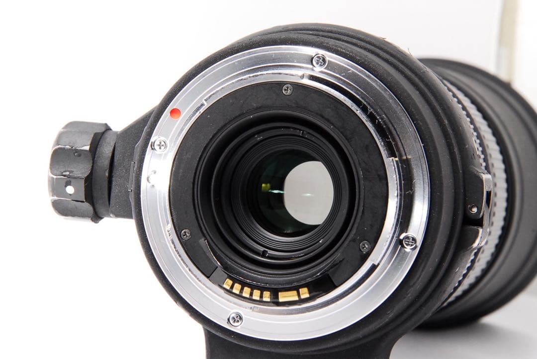 超望遠の世界へ！SIGMA APO 170-500mm F5-6.3 一眼レフ