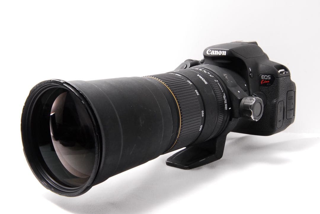 超望遠の世界へ！SIGMA APO 170-500mm F5-6.3 一眼レフ