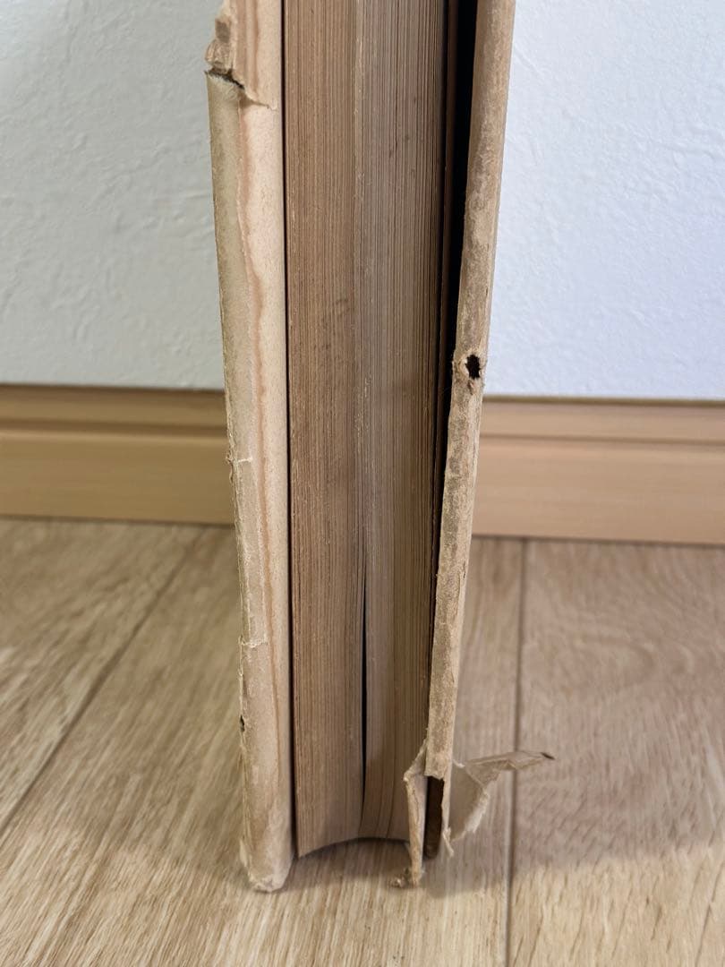 フィンランドのルイジ絨毯　歴史的研究　U.T.シレリウス著　図版　絨毯の本