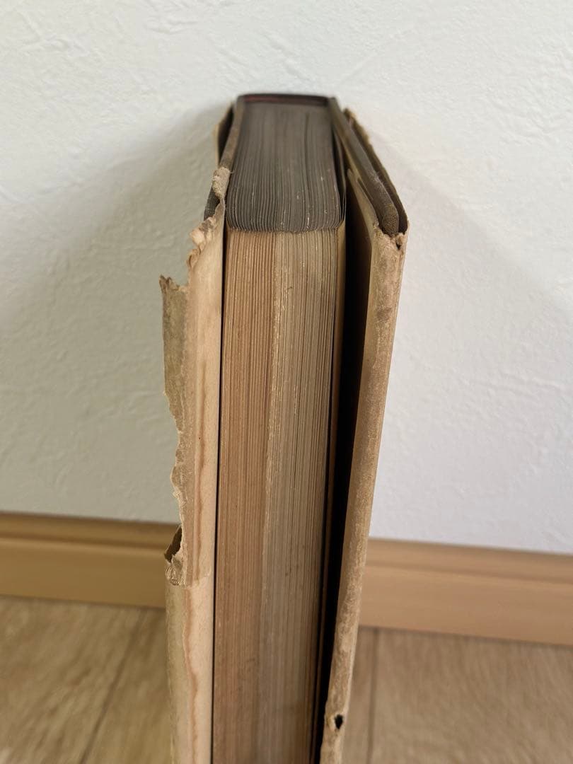 フィンランドのルイジ絨毯　歴史的研究　U.T.シレリウス著　図版　絨毯の本