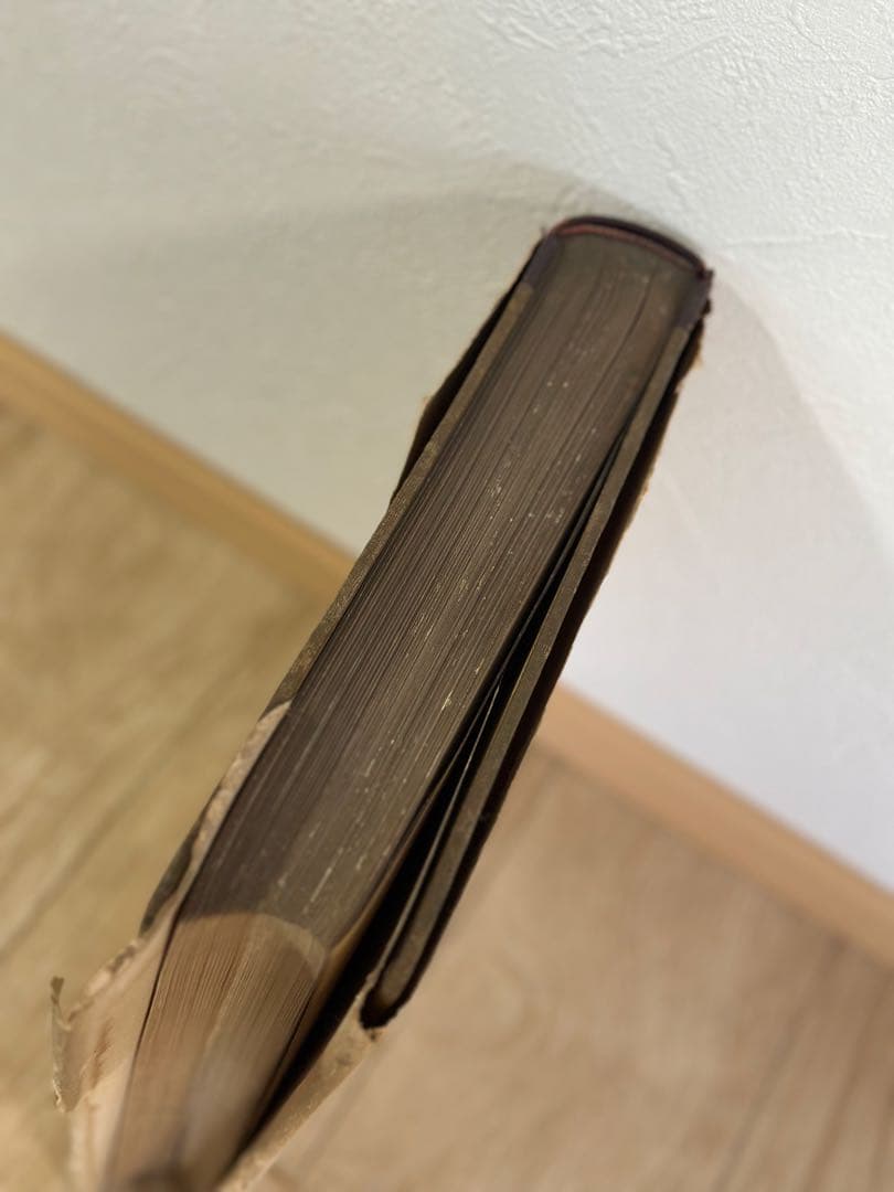 フィンランドのルイジ絨毯　歴史的研究　U.T.シレリウス著　図版　絨毯の本