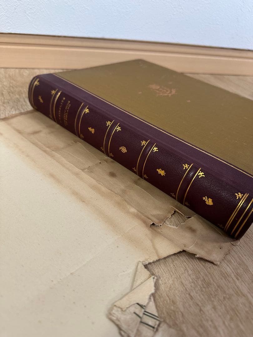 フィンランドのルイジ絨毯　歴史的研究　U.T.シレリウス著　図版　絨毯の本