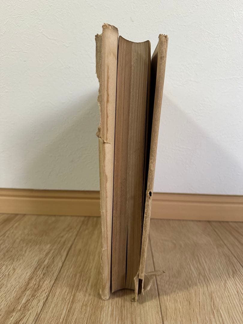 フィンランドのルイジ絨毯　歴史的研究　U.T.シレリウス著　図版　絨毯の本