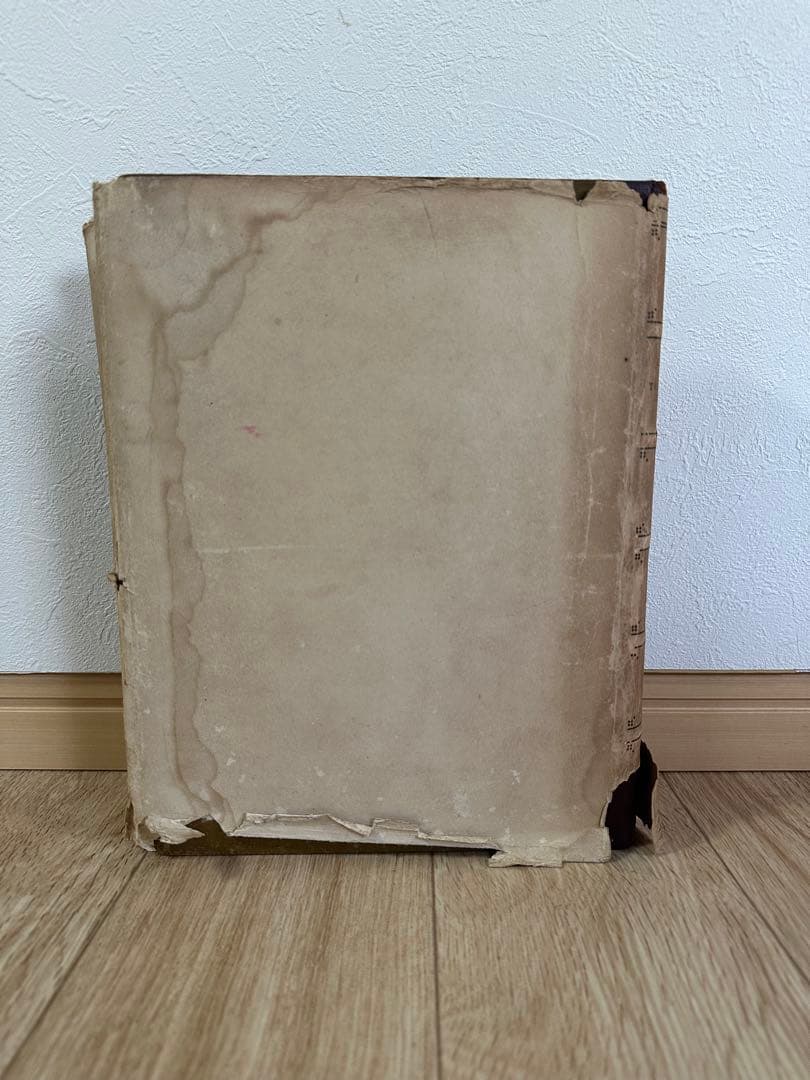 フィンランドのルイジ絨毯　歴史的研究　U.T.シレリウス著　図版　絨毯の本