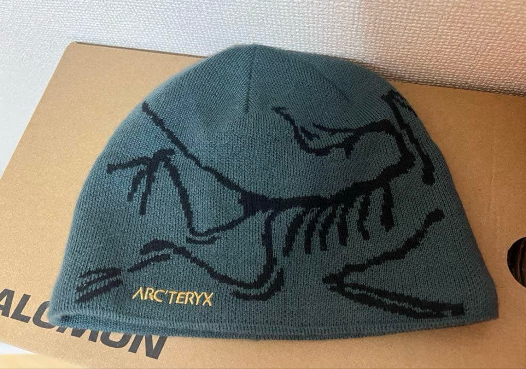 アークテリクス　バードヘッドトーク　 Dark Magic arcteryx
