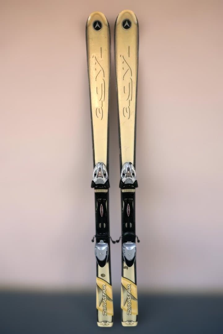 DYNASTAR ディナスター スキー板 146cm 初心者・女性用