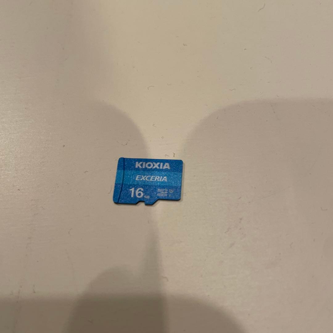 Nintendo Switch Lite ブラック 箱、充電器、SDカード付き