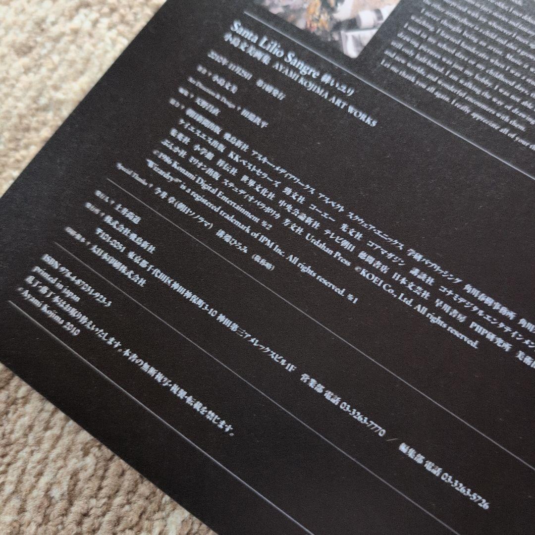 【初版・帯付き】Santa Lilio Sangre 緋いユリ 小島文美画集