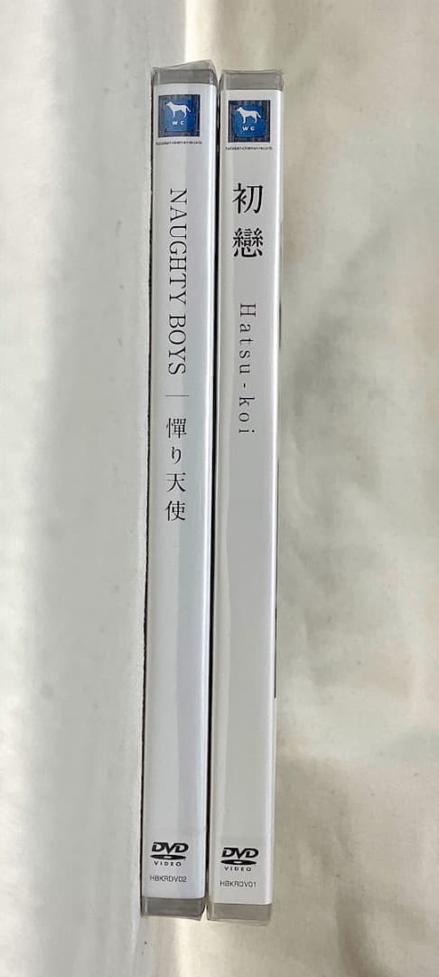 今泉浩一 初戀 NAUGHTY BOYS 憚り天使 DVD ２枚セット 特典付き