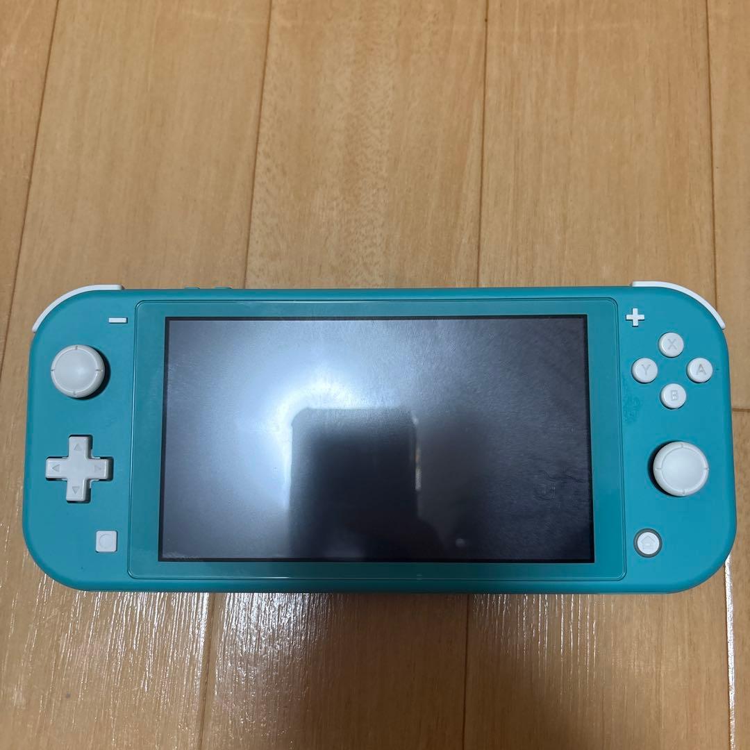 Switchライト　ケース付き