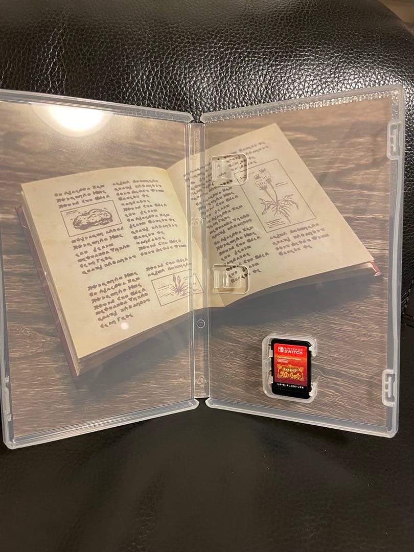 [Switch]ポケットモンスター スカーレット・バイオレット ダブルパック