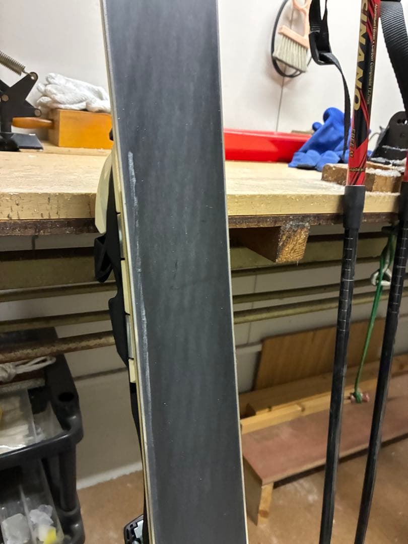 Nordica SLJ World Cup スキー