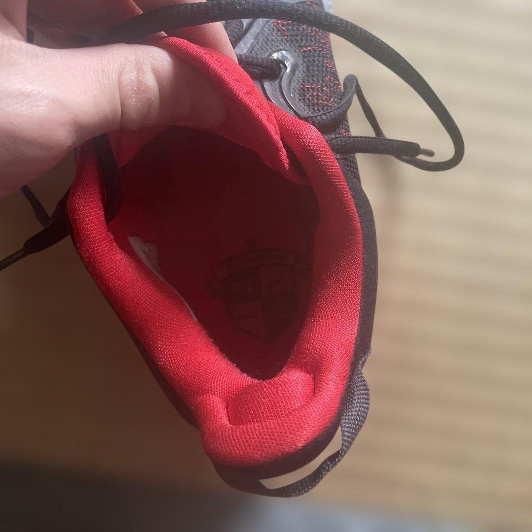 Nike バスケットボールシューズ ブラック/レッド