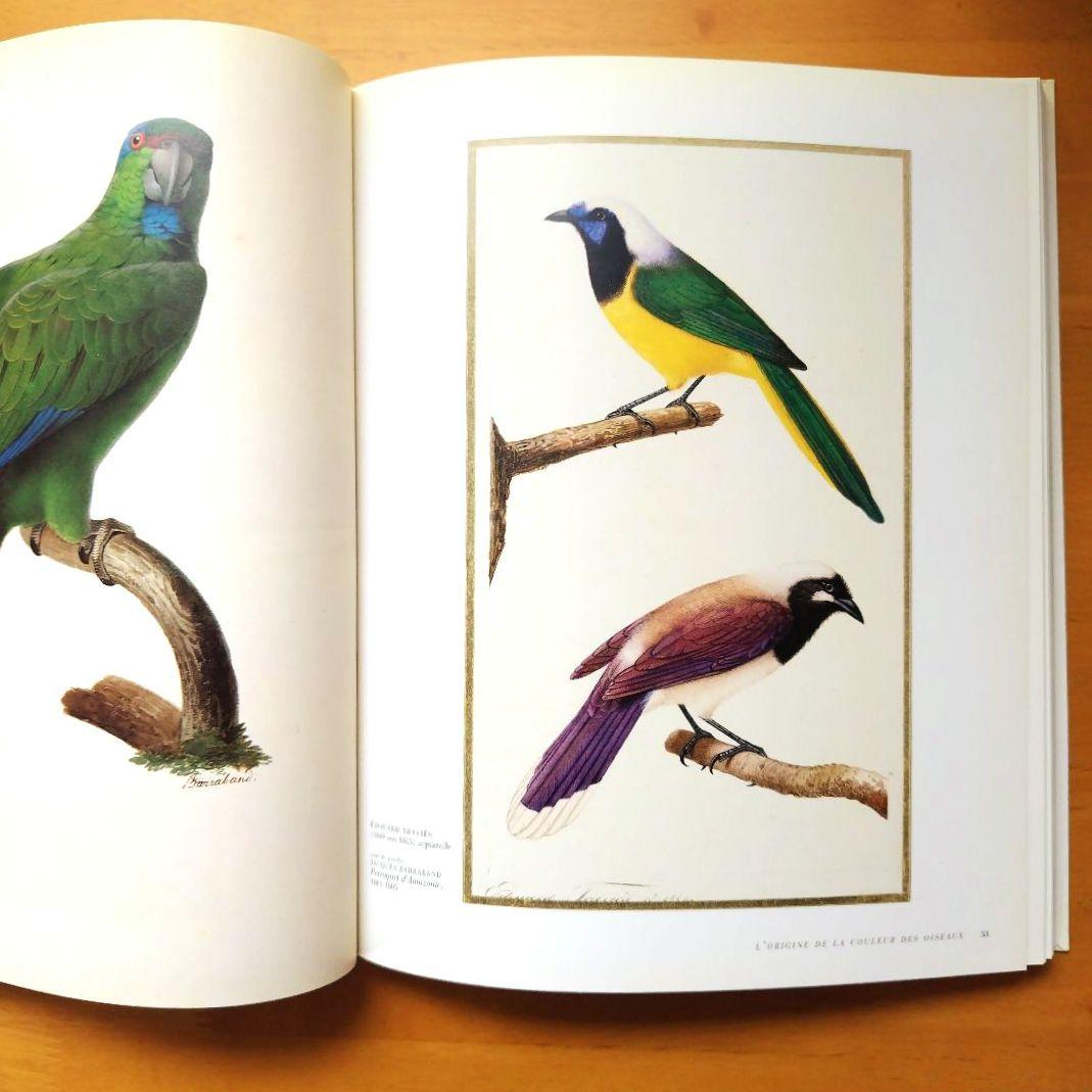 Comme un oiseau 1996 カタログ