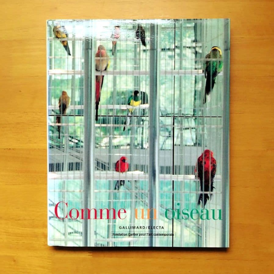 Comme un oiseau 1996 カタログ