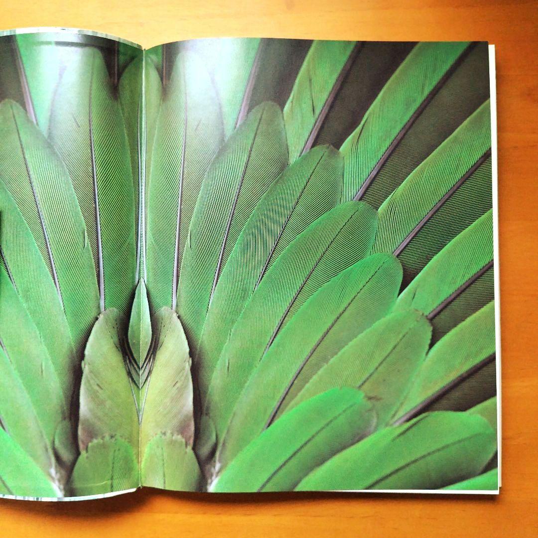 Comme un oiseau 1996 カタログ