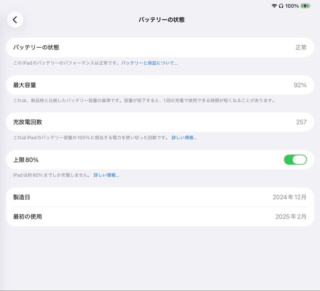 【極美品】M4 iPad Pro11インチ 256GB WiFiモデル