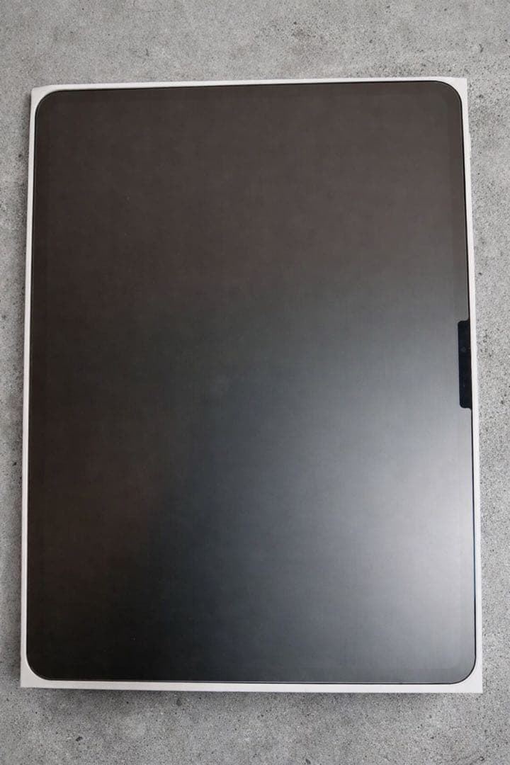 【極美品】M4 iPad Pro11インチ 256GB WiFiモデル