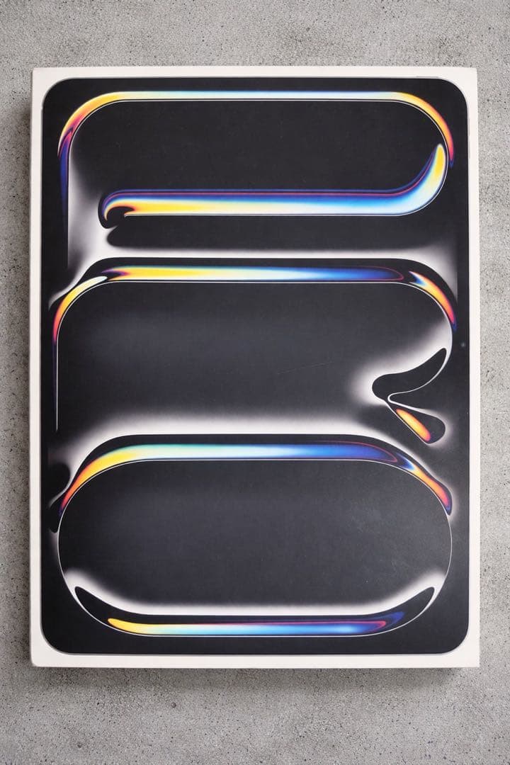 【極美品】M4 iPad Pro11インチ 256GB WiFiモデル