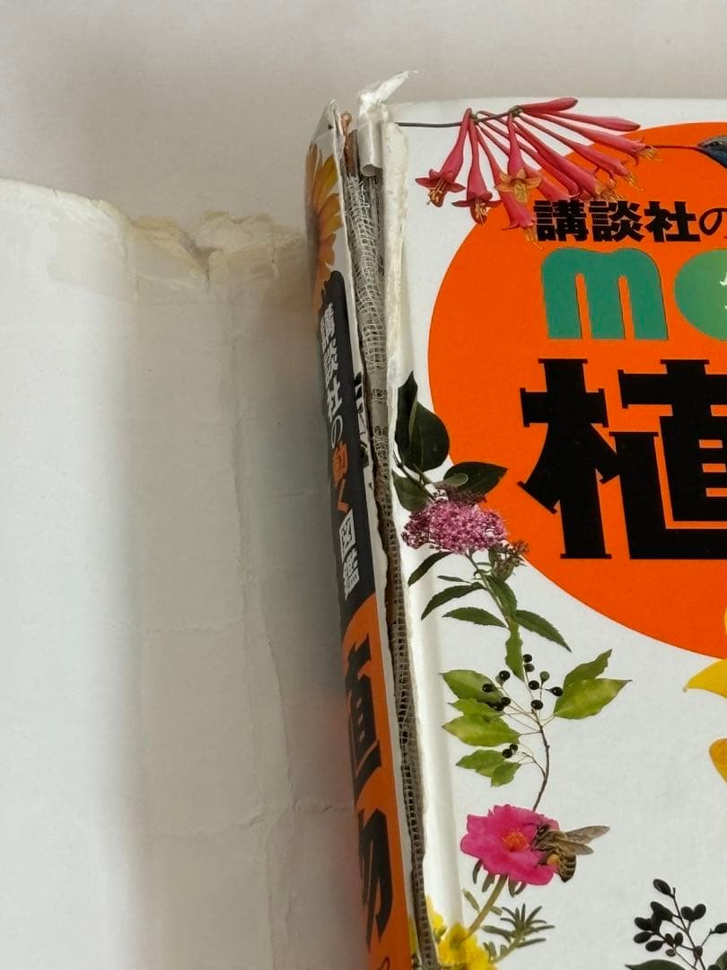 【DVDのみ 4枚付】講談社の動く図鑑MOVE neo LIVE　9冊セット