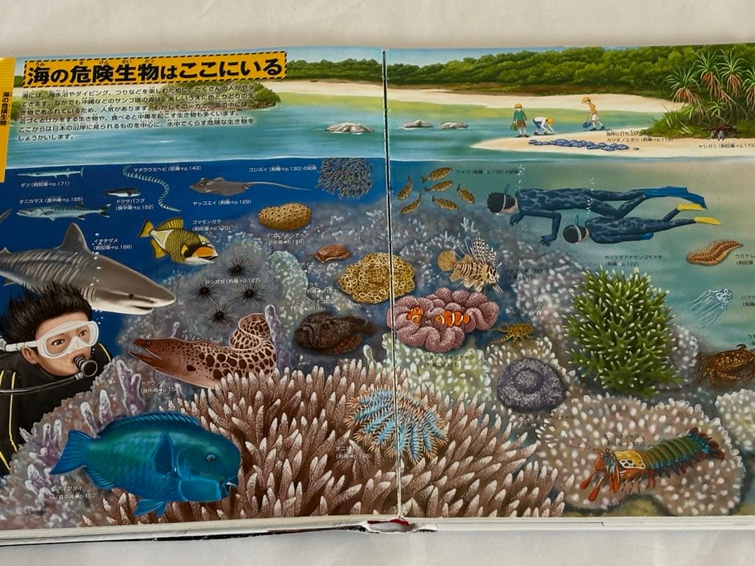 【DVDのみ 4枚付】講談社の動く図鑑MOVE neo LIVE　9冊セット