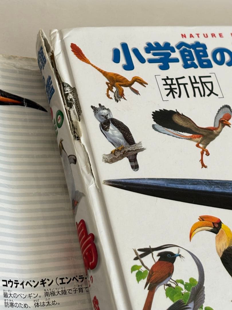 【DVDのみ 4枚付】講談社の動く図鑑MOVE neo LIVE　9冊セット