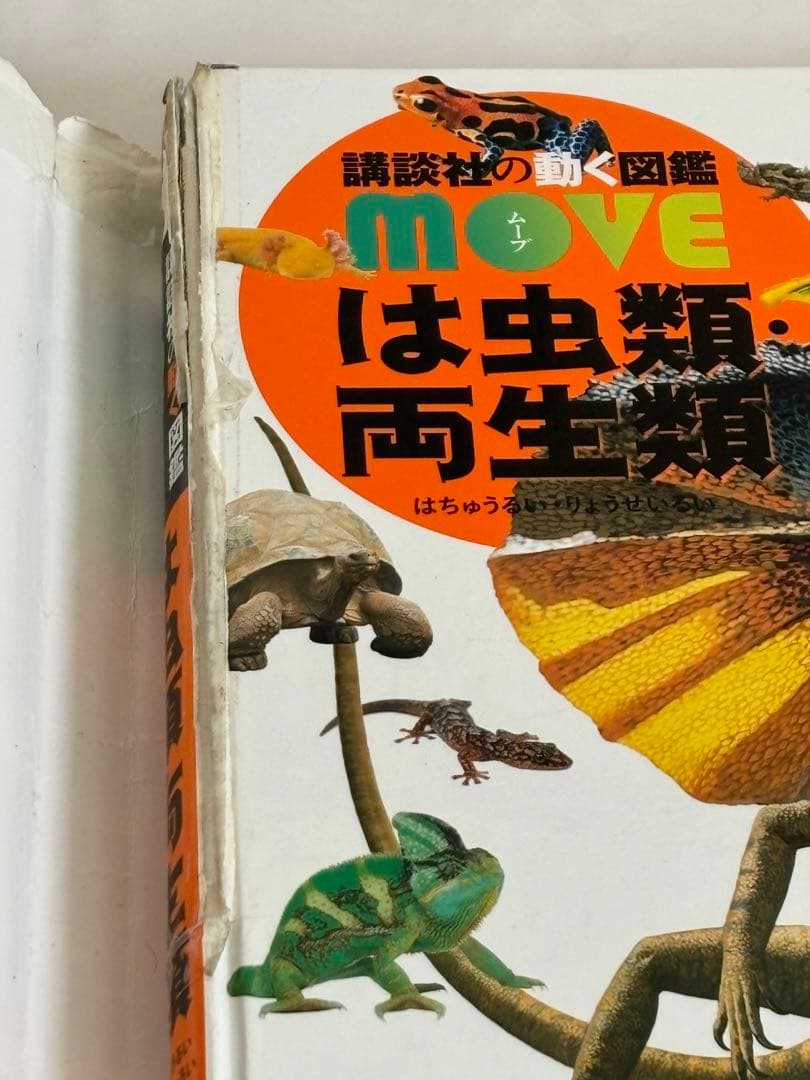 【DVDのみ 4枚付】講談社の動く図鑑MOVE neo LIVE　9冊セット