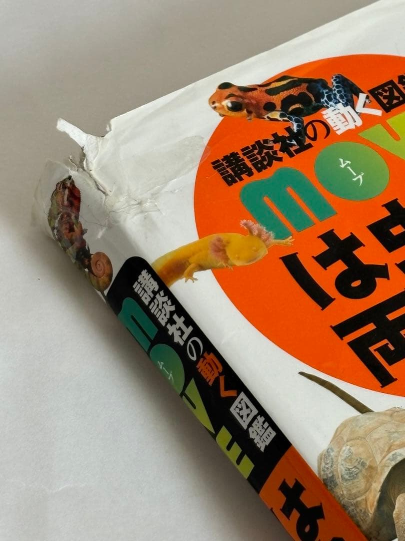 【DVDのみ 4枚付】講談社の動く図鑑MOVE neo LIVE　9冊セット