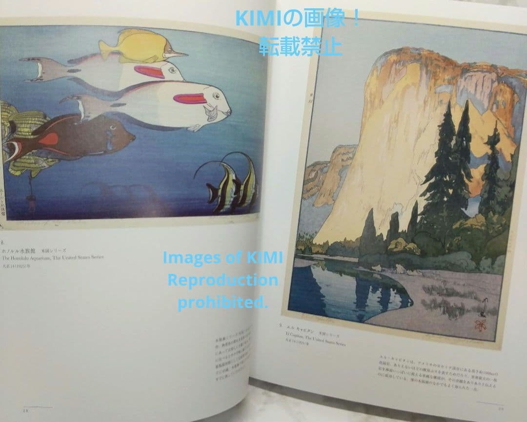 図録　没後70年 吉田博展　大型本　よしだ ひろし　毎日新聞社