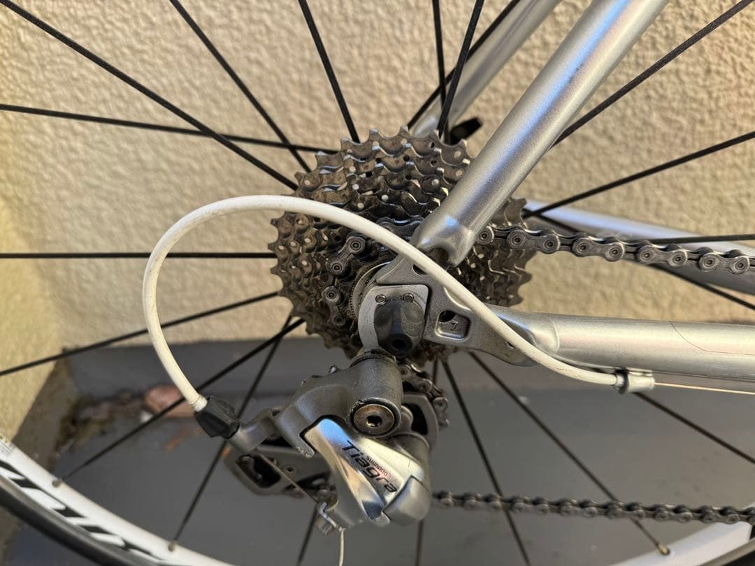 フジ　バラクーダ