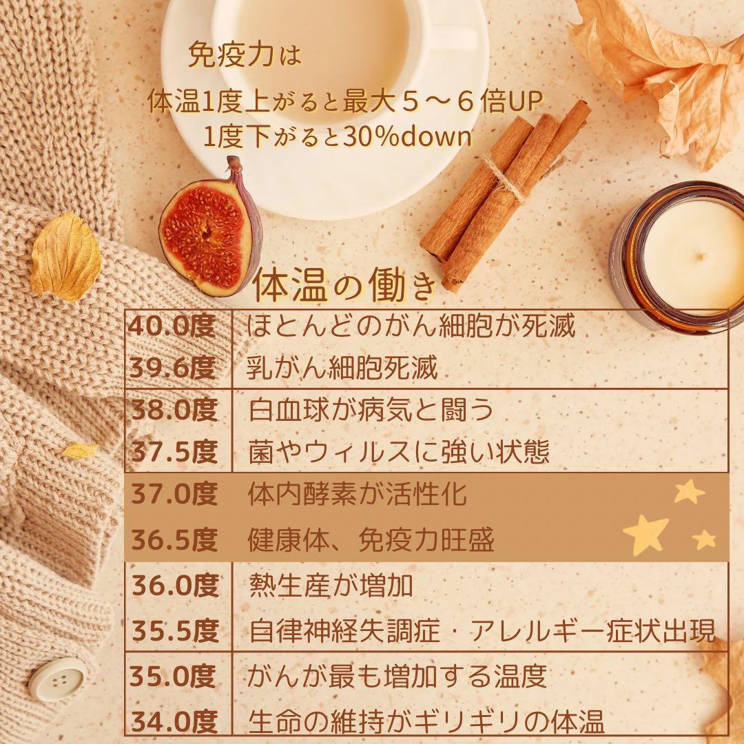 米ぬか玄米カイロ骨盤温めセルフケア(807)グレー黄花柄北欧調