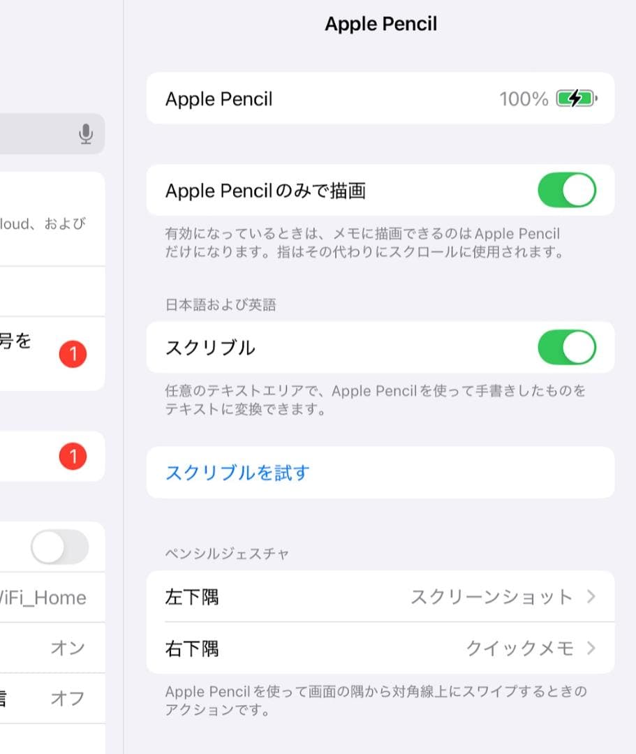【美品】Apple Pencil アップルペンシル 第1世代 保証未登録
