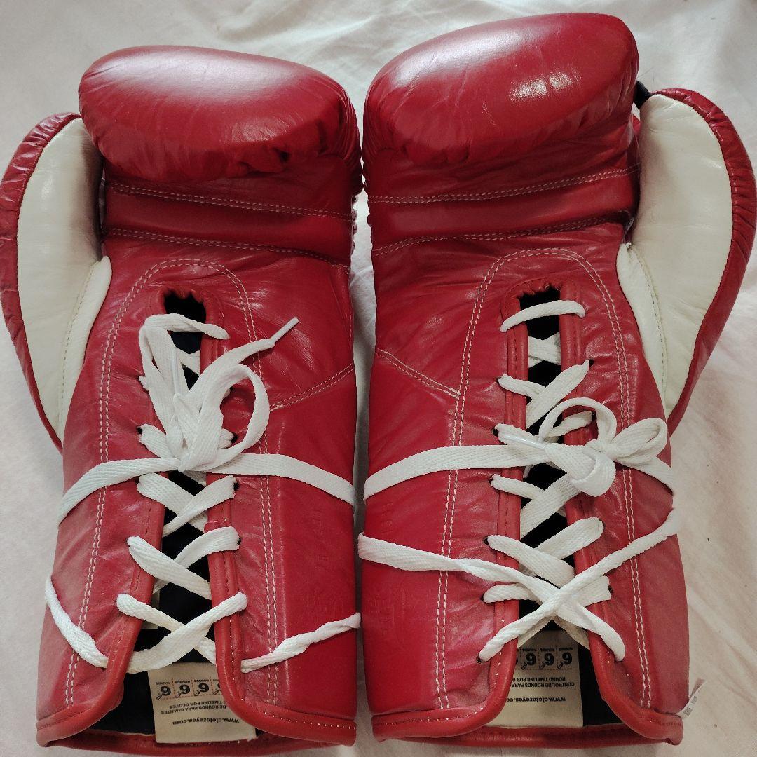 レイジェス製試合用１０オンスボクシンググローブ