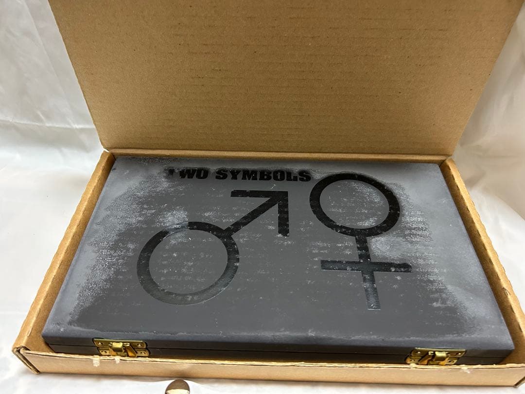 Prince Two Symbols 限定版 2枚組 CD