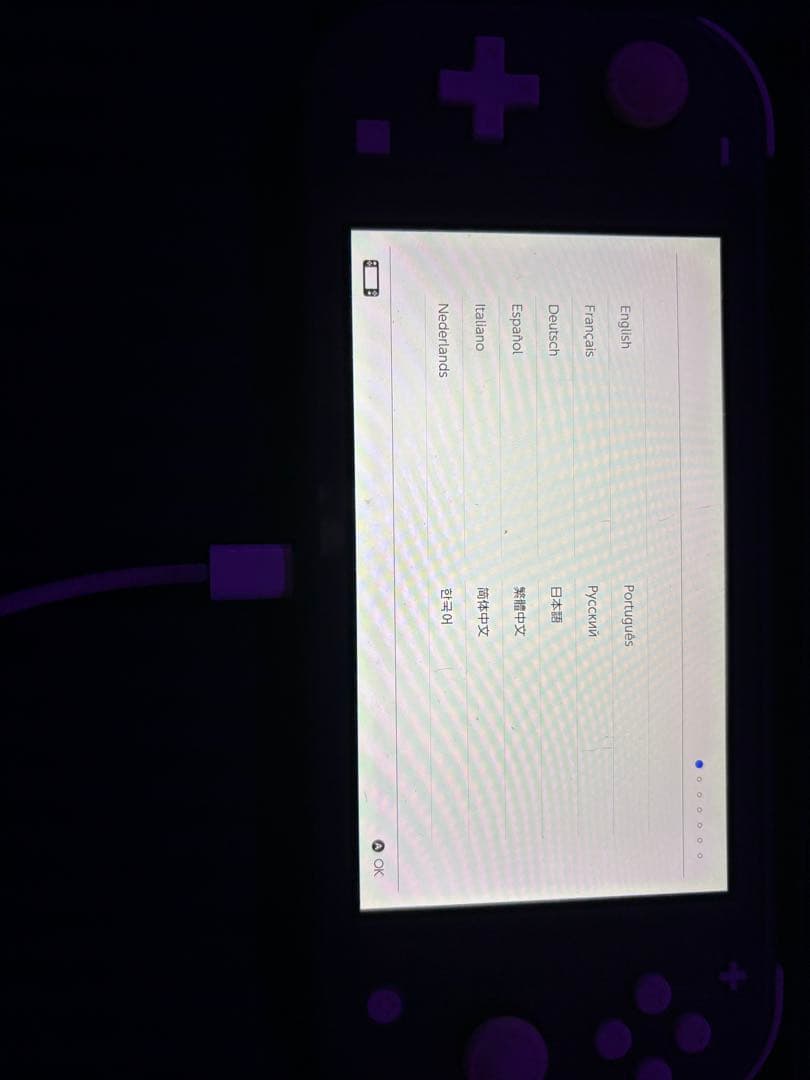 Nintendo Switch Lite本体