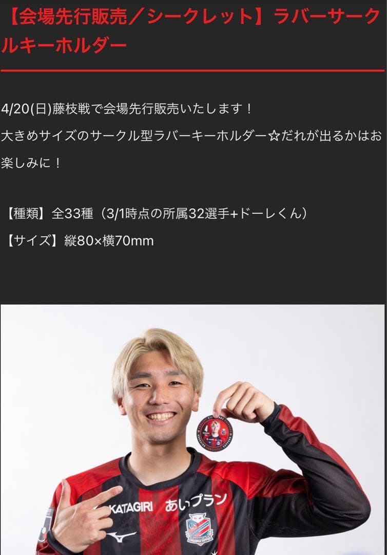 【新品未使用】北海道コンサドーレ札幌 サークル型ラバーキーホルダー