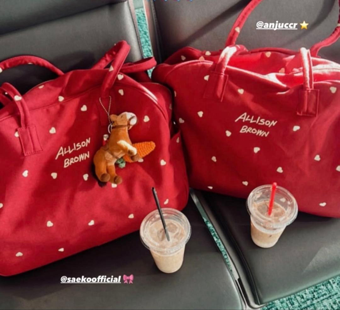 アリソンブラウン HOLIDAY CANVAS BAG 新品未使用！