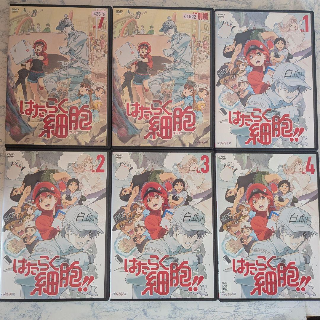 DVD　はたらく細胞　1期、2期、スペシャル、スピンオフ　計19巻　新品ケース付