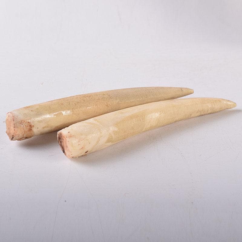 ノブリン　中国　唐木紫壇製獣骨象嵌装飾象置物　重さ約12㎏　V　8059C